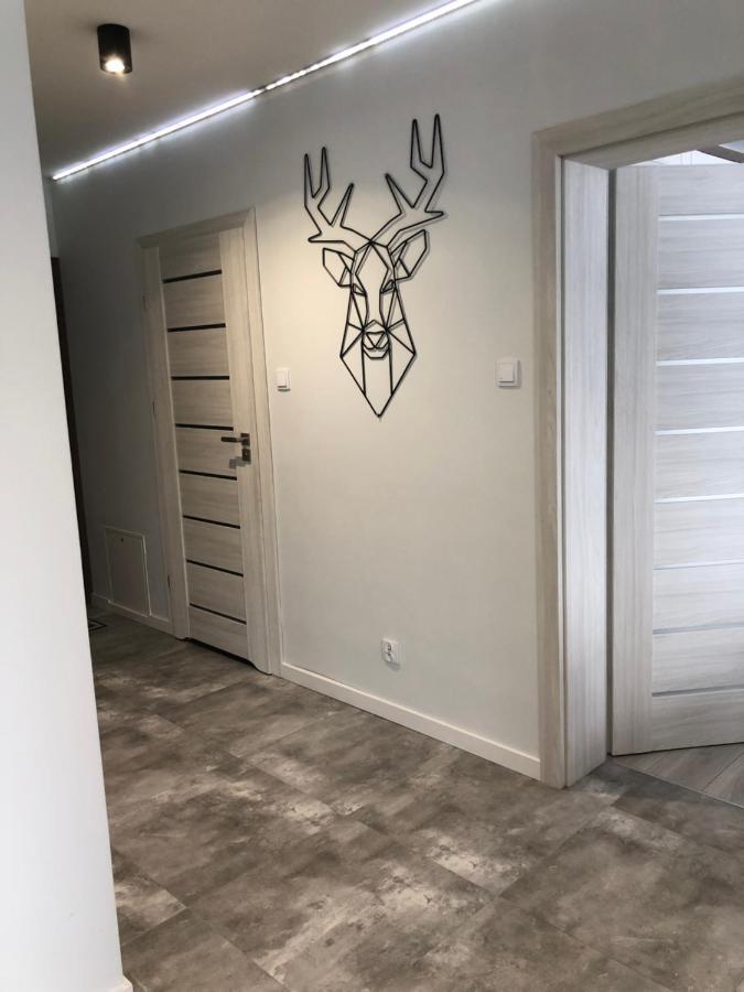 Apartament Happiness Jelenia Gora Ngoại thất bức ảnh